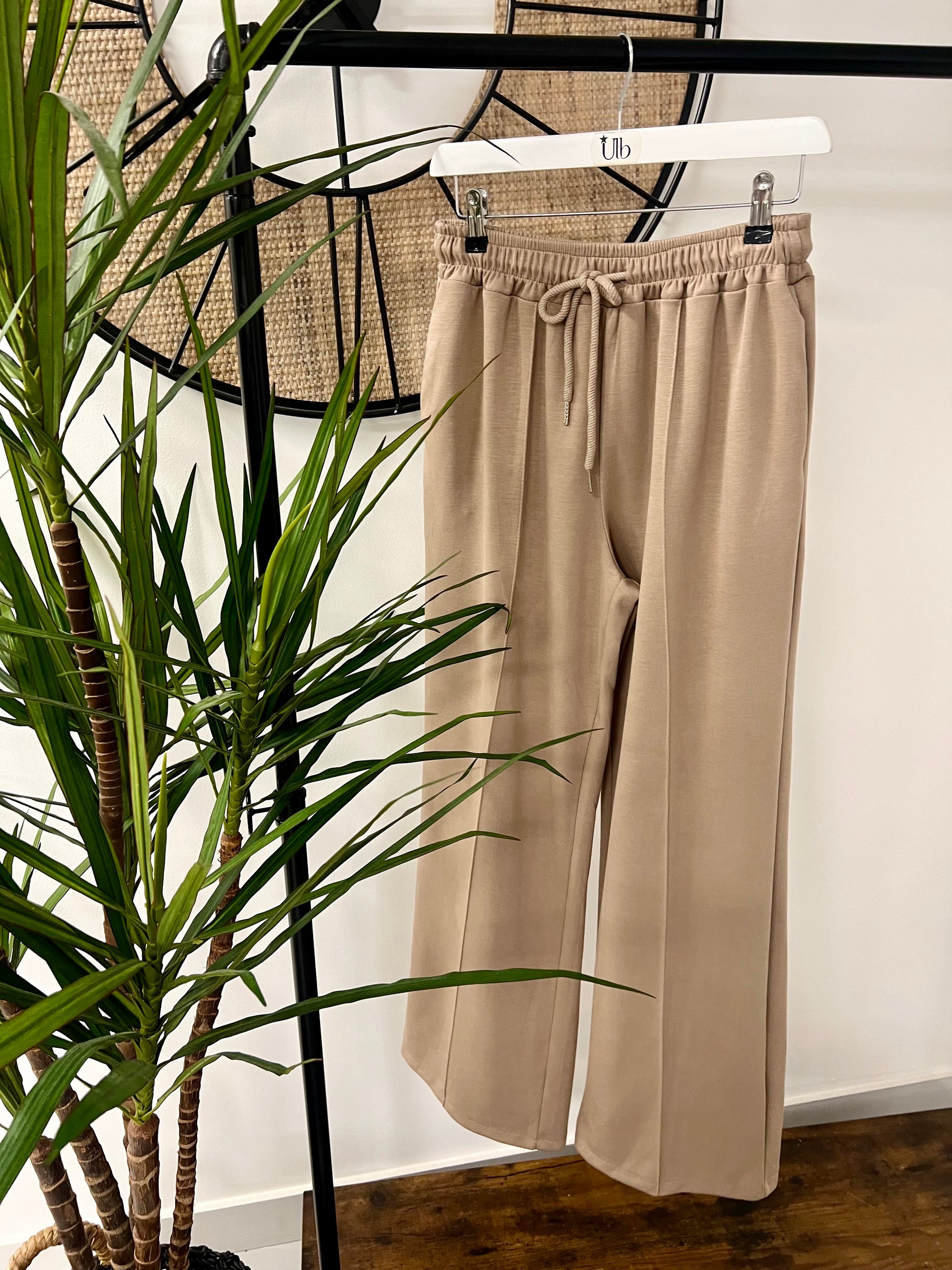 Wide Leg Seam Jogger (Plus)  - Mocha